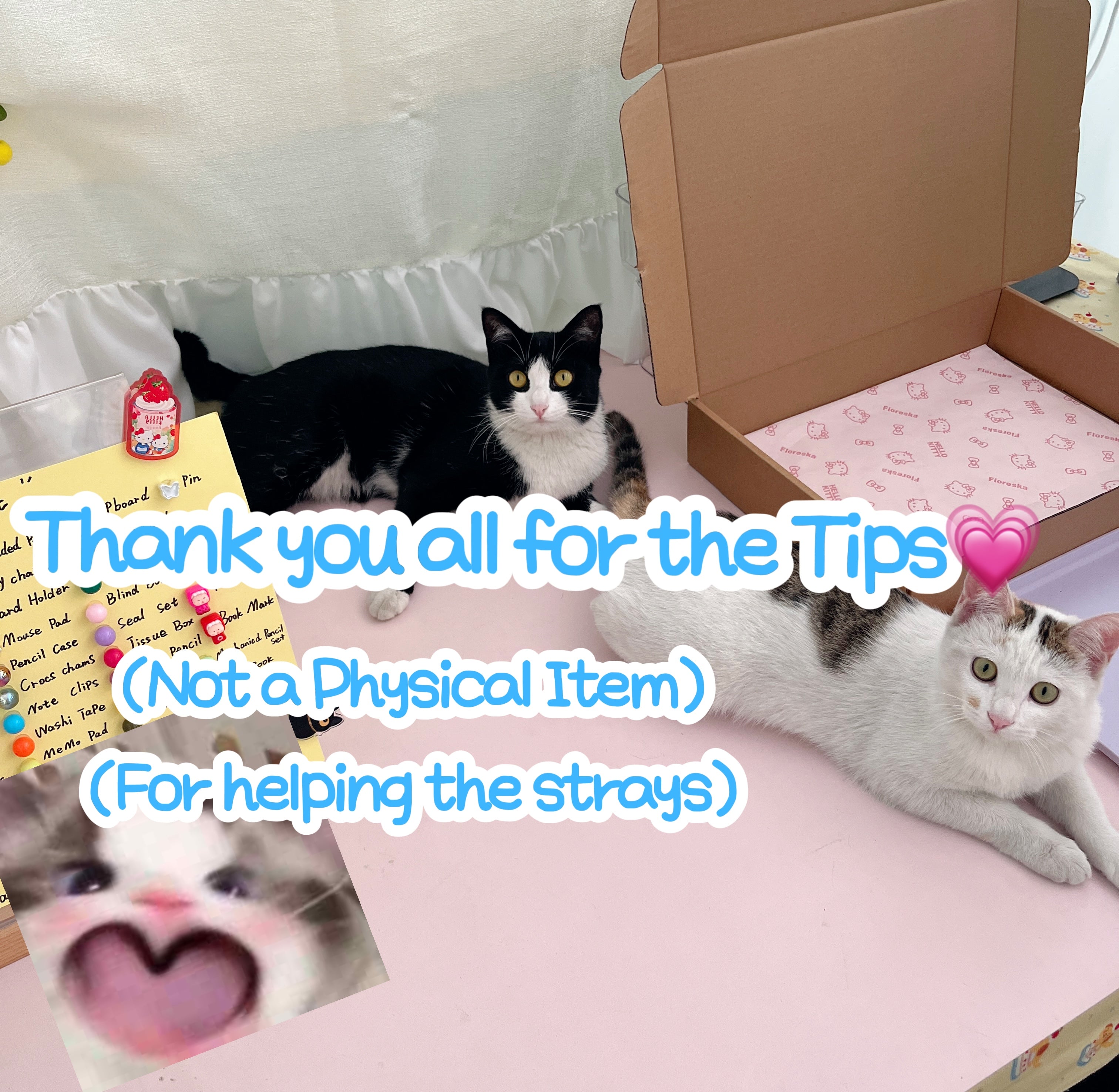 Thank You All for the Tips(Not a Physical Item)