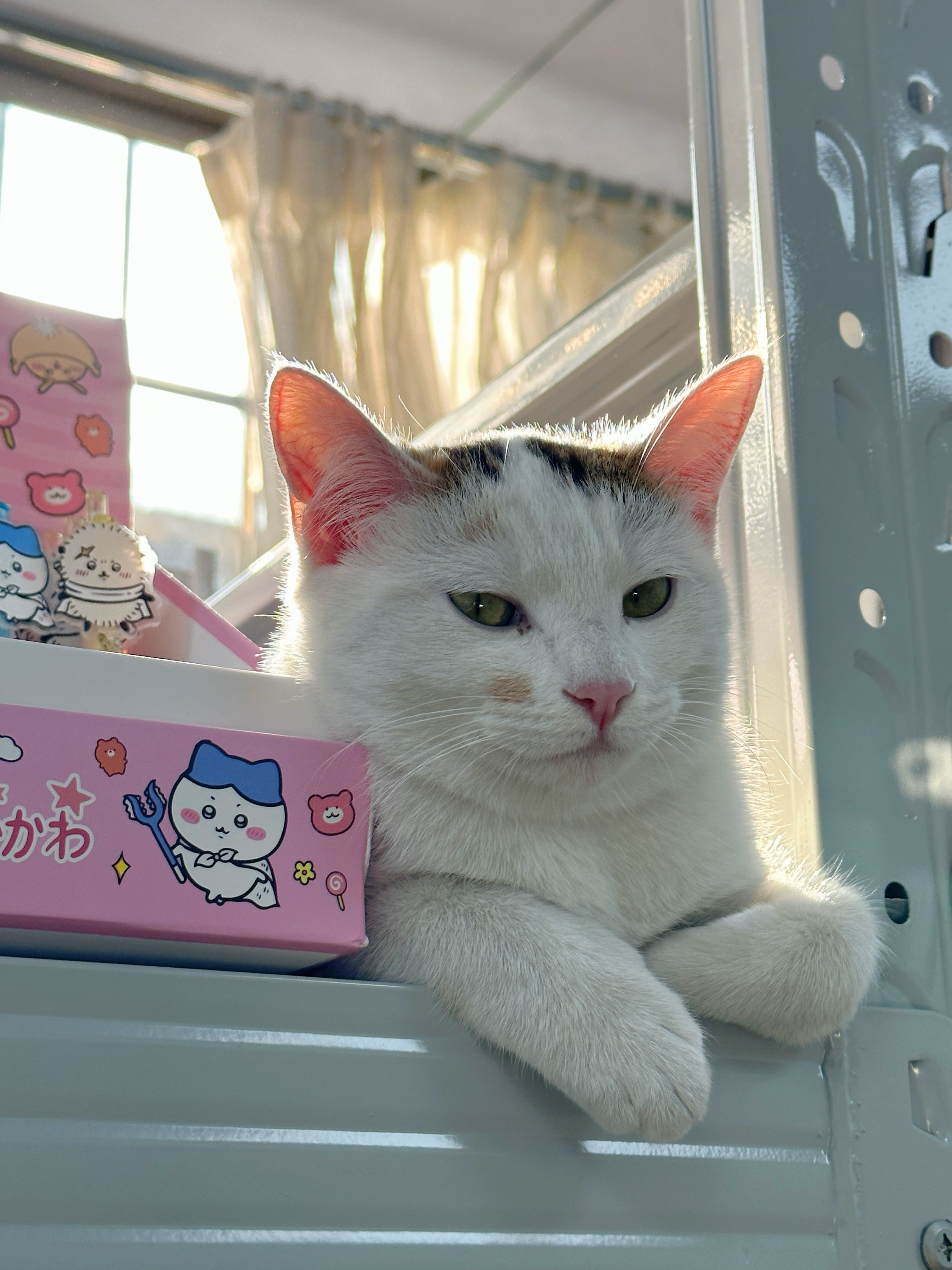 Thank You All for the Tips(Not a Physical Item)