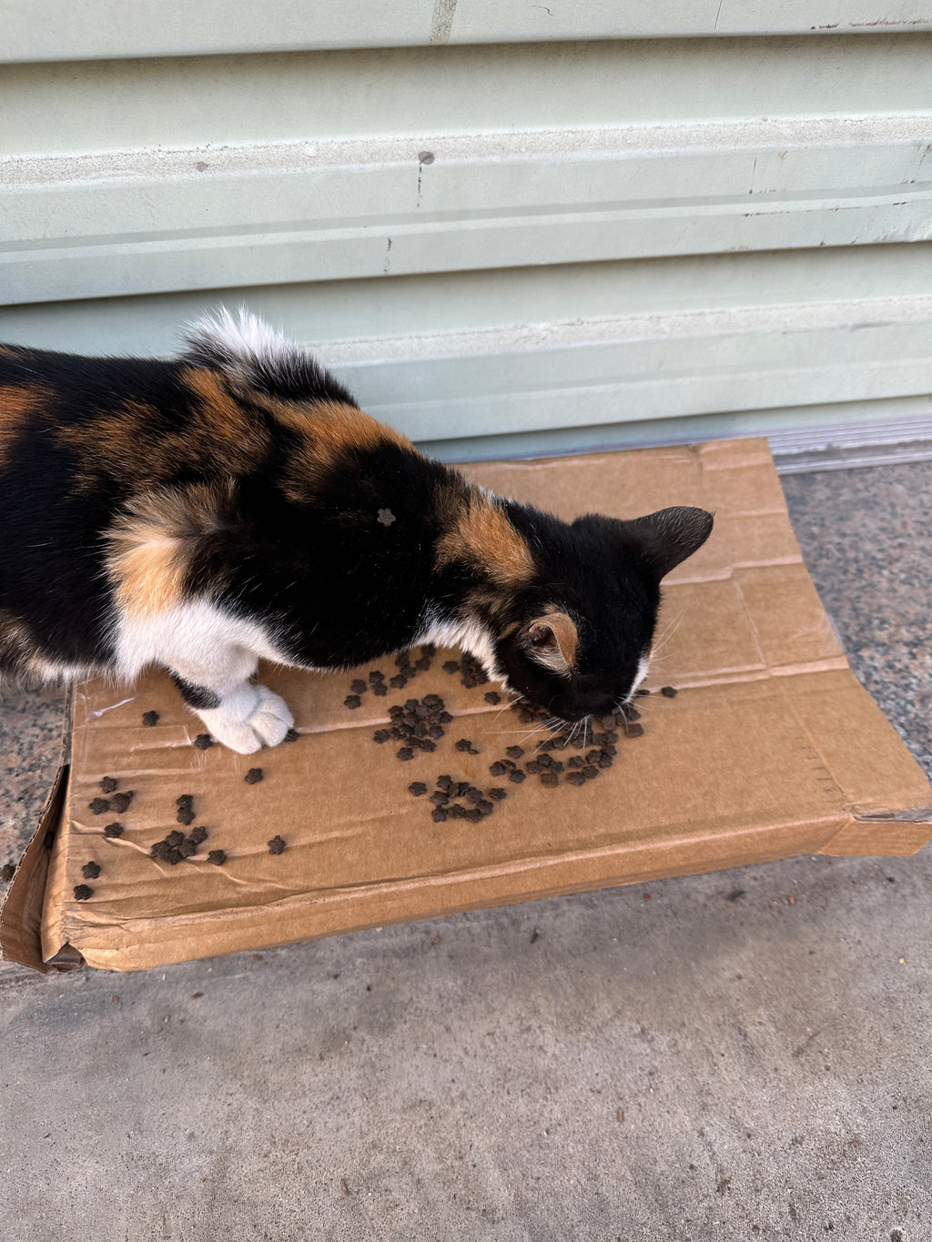 Thank You All for the Tips(Not a Physical Item)