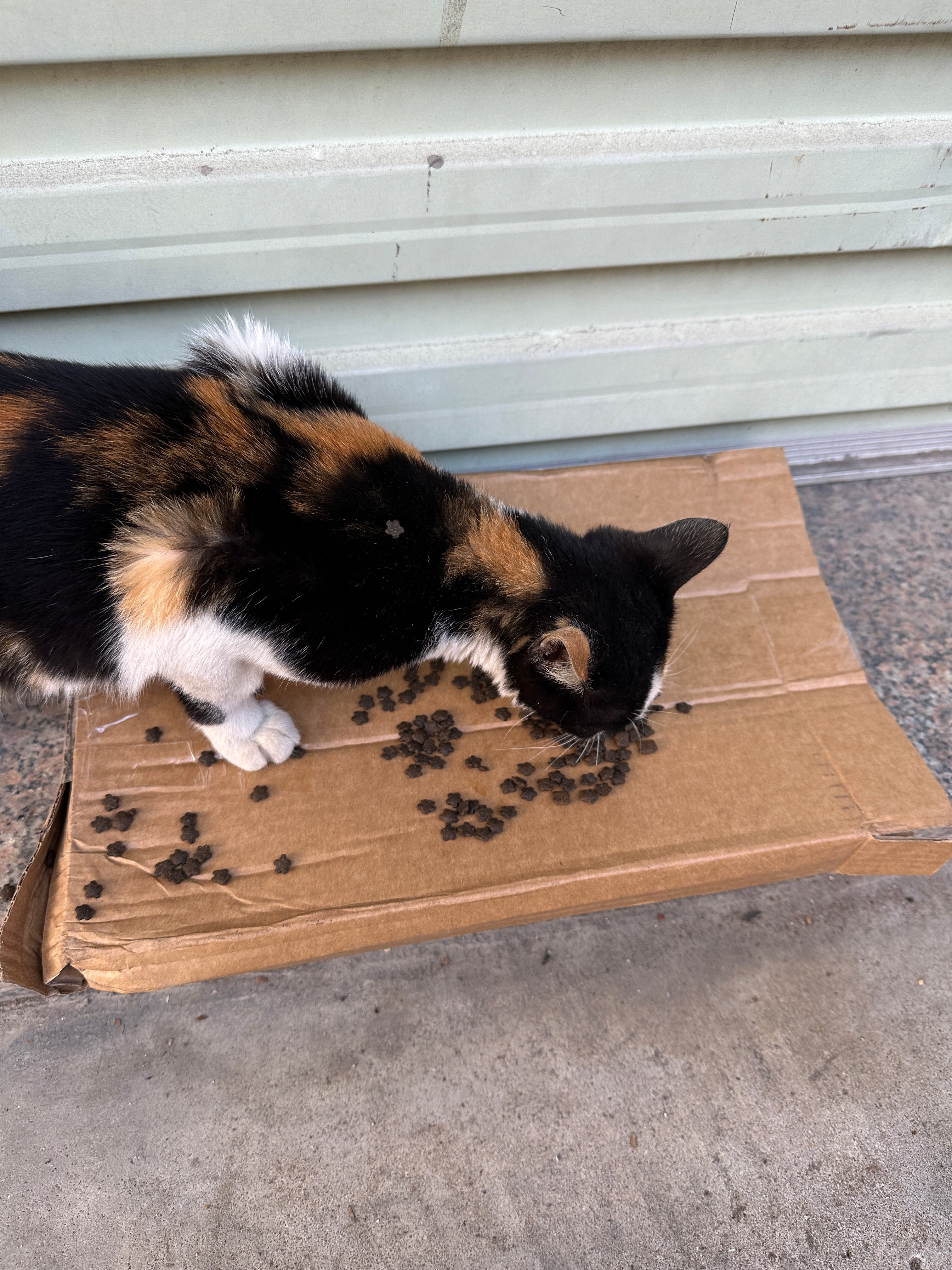 Thank You All for the Tips(Not a Physical Item)