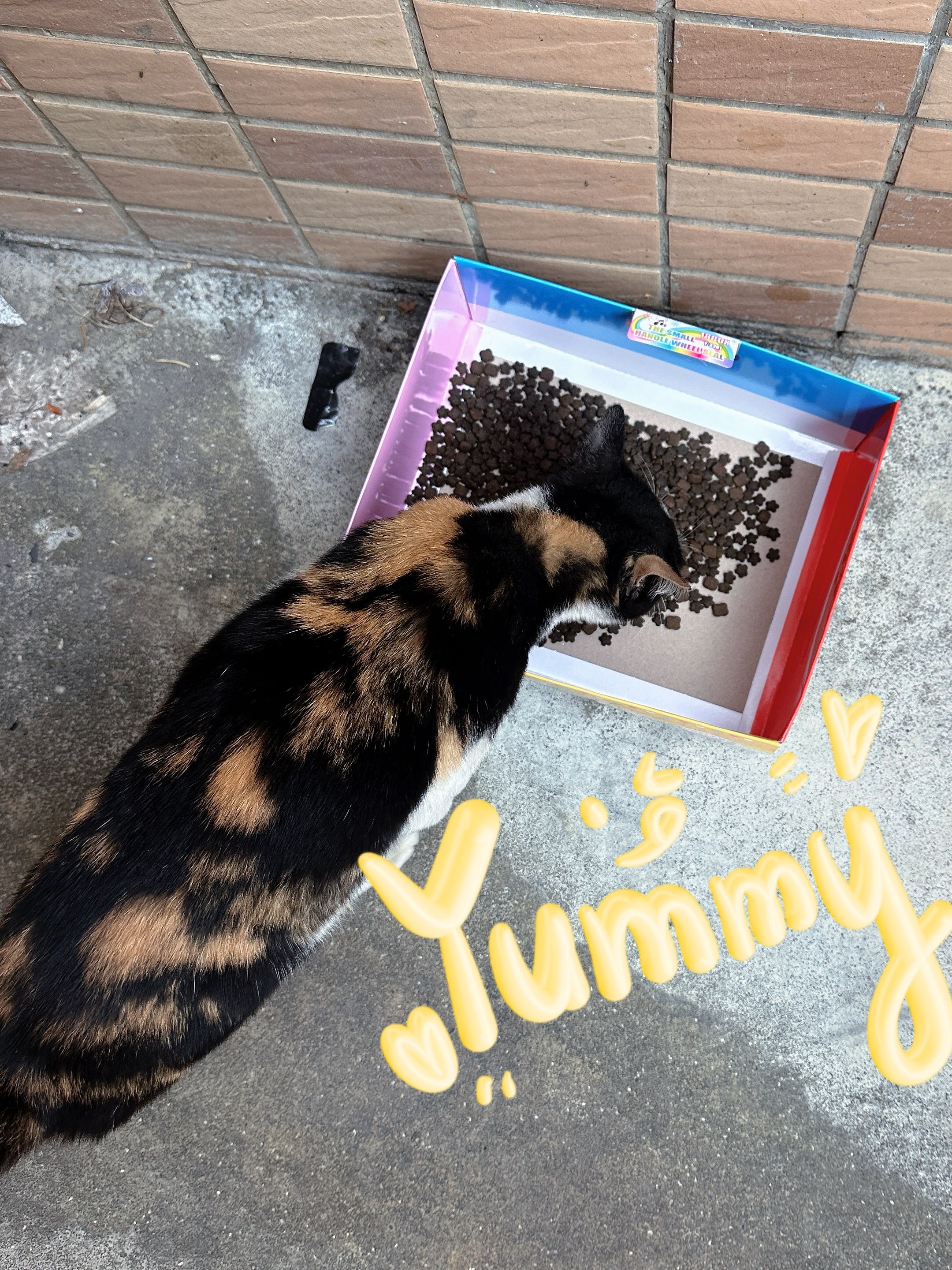 Thank You All for the Tips(Not a Physical Item)